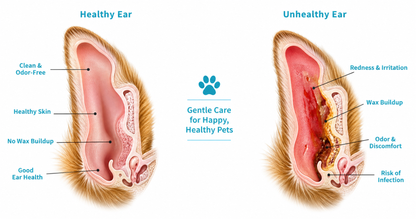 Gentle Pet Ear Wash | Odor-Free Cleaning for Dogs & Cats